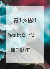 青山乡精准施策培育“头雁”队伍