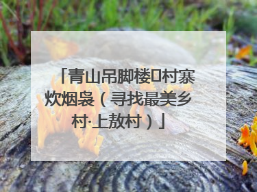 青山吊脚楼 村寨炊烟袅（寻找最美乡村·上敖村）