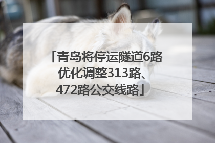 青岛将停运隧道6路 优化调整313路、472路公交线路