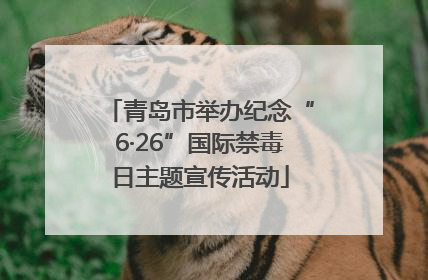 青岛市举办纪念“6·26”国际禁毒日主题宣传活动
