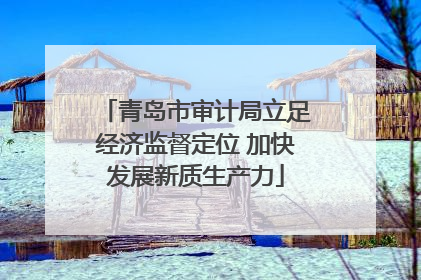青岛市审计局立足经济监督定位 加快发展新质生产力