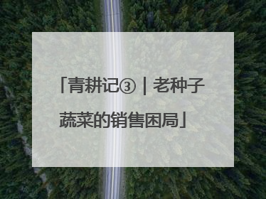 青耕记③｜老种子蔬菜的销售困局