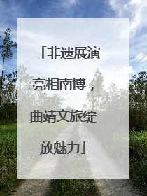非遗展演亮相南博，曲靖文旅绽放魅力