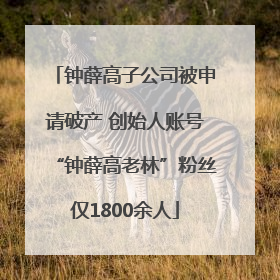钟薛高子公司被申请破产 创始人账号“钟薛高老林”粉丝仅1800余人