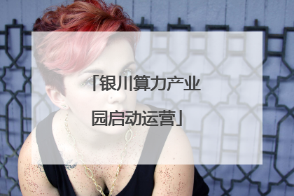 银川算力产业园启动运营