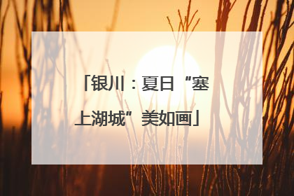 银川：夏日“塞上湖城”美如画