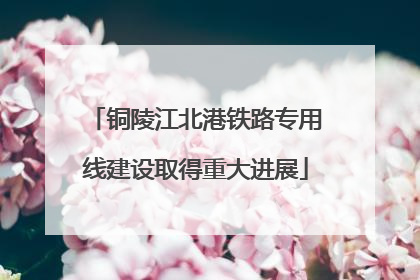 铜陵江北港铁路专用线建设取得重大进展