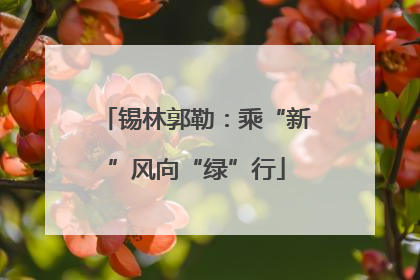 锡林郭勒：乘“新”风向“绿”行