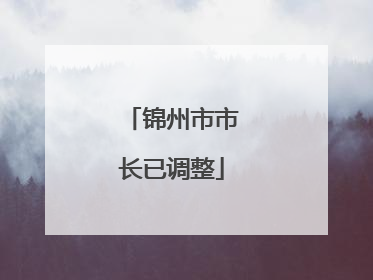 锦州市市长已调整