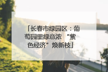 长春市绿园区：葡萄园里绿意浓 “紫色经济”焕新枝