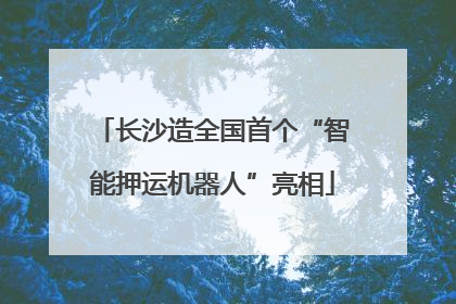 长沙造全国首个“智能押运机器人”亮相