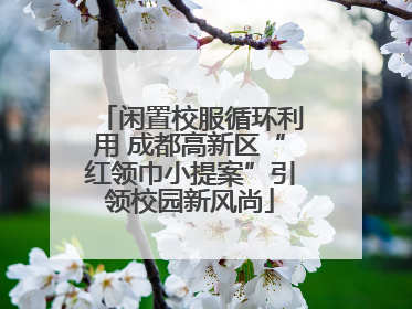 闲置校服循环利用 成都高新区“红领巾小提案”引领校园新风尚