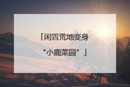 闲置荒地变身“小鹿菜园”