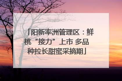 阳新率洲管理区：鲜桃“接力”上市 多品种拉长甜蜜采摘期