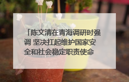 陈文清在青海调研时强调 坚决扛起维护国家安全和社会稳定职责使命 为谱写中国式现代化青海篇章贡献政法力量