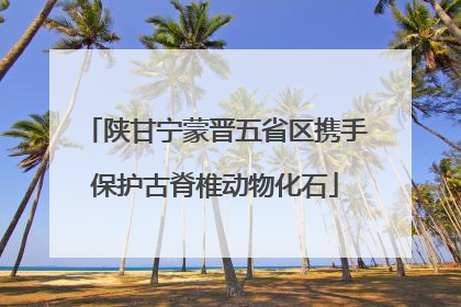 陕甘宁蒙晋五省区携手保护古脊椎动物化石