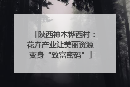 陕西神木铧西村：花卉产业让美丽资源变身“致富密码”