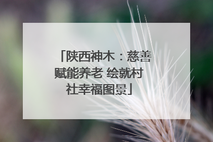 陕西神木：慈善赋能养老 绘就村社幸福图景