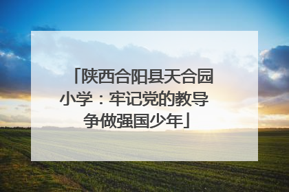 陕西合阳县天合园小学：牢记党的教导 争做强国少年