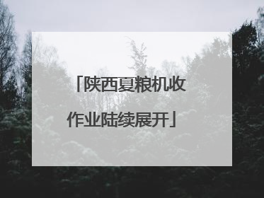 陕西夏粮机收作业陆续展开