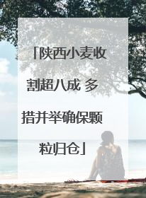 陕西小麦收割超八成 多措并举确保颗粒归仓