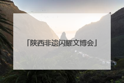 陕西非遗闪耀文博会