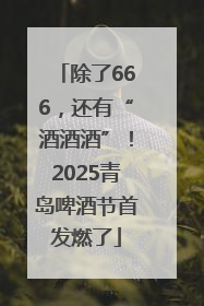 除了666，还有“酒酒酒”！2025青岛啤酒节首发燃了