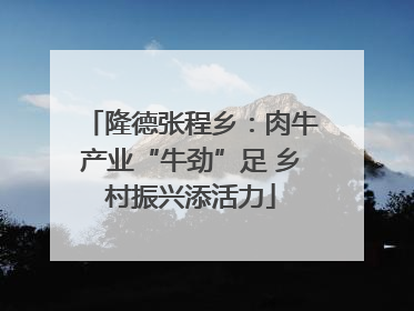 隆德张程乡：肉牛产业“牛劲”足 乡村振兴添活力