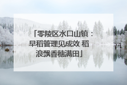 零陵区水口山镇：早稻管理见成效 稻浪飘香穗满田
