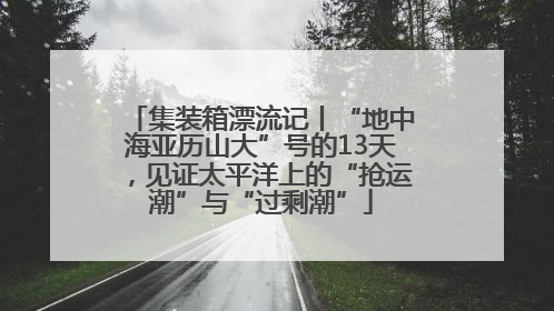 集装箱漂流记丨“地中海亚历山大”号的13天，见证太平洋上的“抢运潮”与“过剩潮”