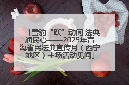 雪豹“跃”动间 法典润民心——2025年青海省民法典宣传月（西宁地区）主场活动见闻