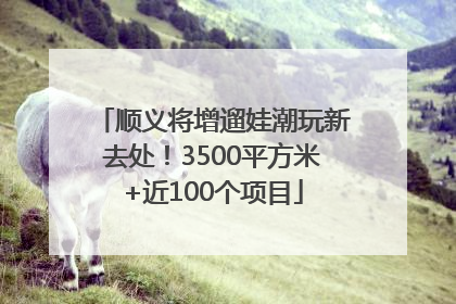 顺义将增遛娃潮玩新去处！3500平方米+近100个项目