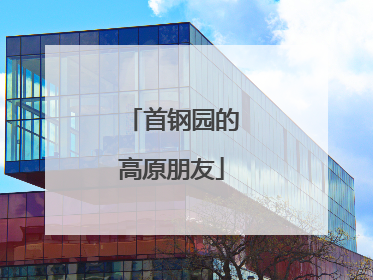 首钢园的高原朋友