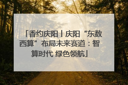 香约庆阳丨庆阳“东数西算”布局未来赛道：智算时代 绿色领航