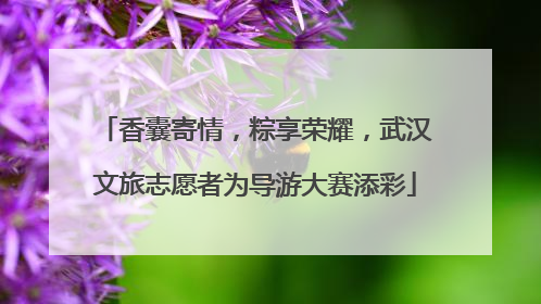 香囊寄情，粽享荣耀，武汉文旅志愿者为导游大赛添彩