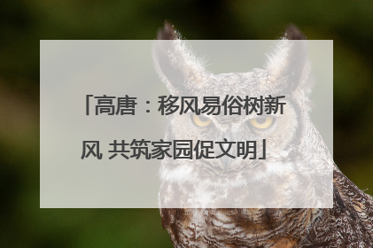高唐：移风易俗树新风 共筑家园促文明