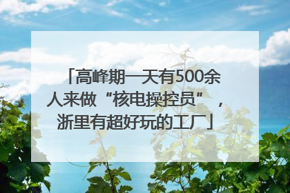 高峰期一天有500余人来做“核电操控员”，浙里有超好玩的工厂
