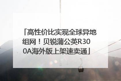 高性价比实现全球异地组网！贝锐蒲公英R300A海外版上架速卖通