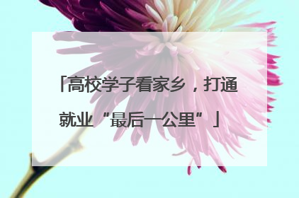 高校学子看家乡，打通就业“最后一公里”