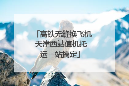 高铁无缝换飞机 天津西站值机托运一站搞定