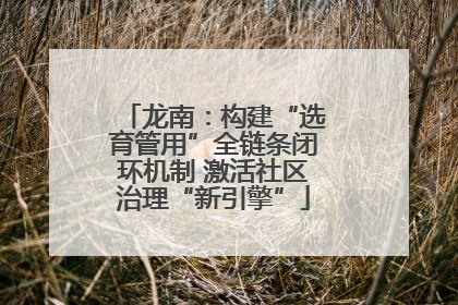 龙南：构建“选育管用”全链条闭环机制 激活社区治理“新引擎”