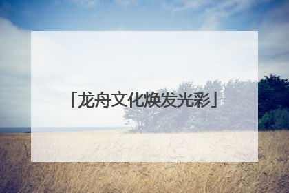 龙舟文化焕发光彩