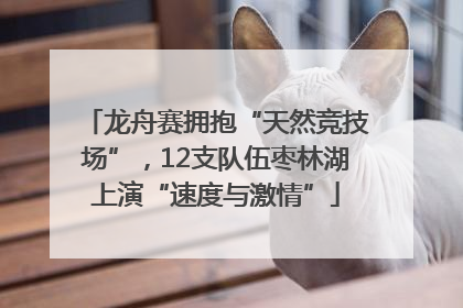 龙舟赛拥抱“天然竞技场”，12支队伍枣林湖上演“速度与激情”