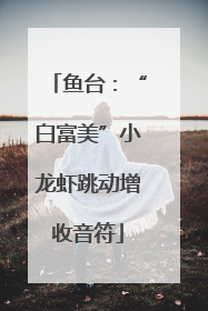 鱼台：“白富美”小龙虾跳动增收音符