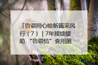 鲁疆同心绘新篇采风行（7）｜7年接续援助 “鲁疆情”食用菌从1.0走向4.0