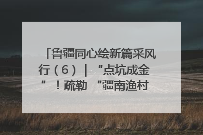 鲁疆同心绘新篇采风行（6）｜“点坑成金”！疏勒 “疆南渔村” 从废弃坑塘变身全国垂钓胜地