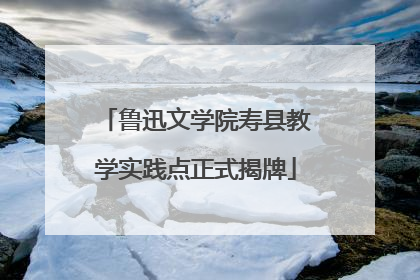 鲁迅文学院寿县教学实践点正式揭牌
