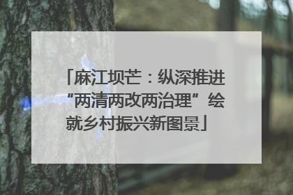 麻江坝芒：纵深推进“两清两改两治理”绘就乡村振兴新图景