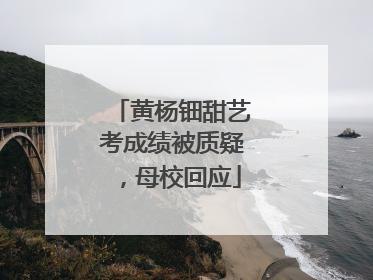 黄杨钿甜艺考成绩被质疑，母校回应