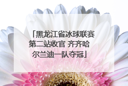 黑龙江省冰球联赛第二站收官 齐齐哈尔兰迪一队夺冠